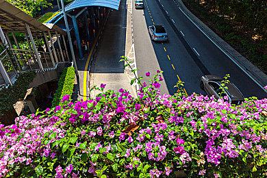 SE提醒玩家远离非官方正式渠道游戏氪金 个人违法助长犯罪